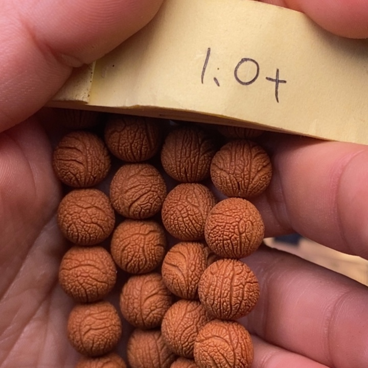 曾***宝秦岭龙纹桃核108颗