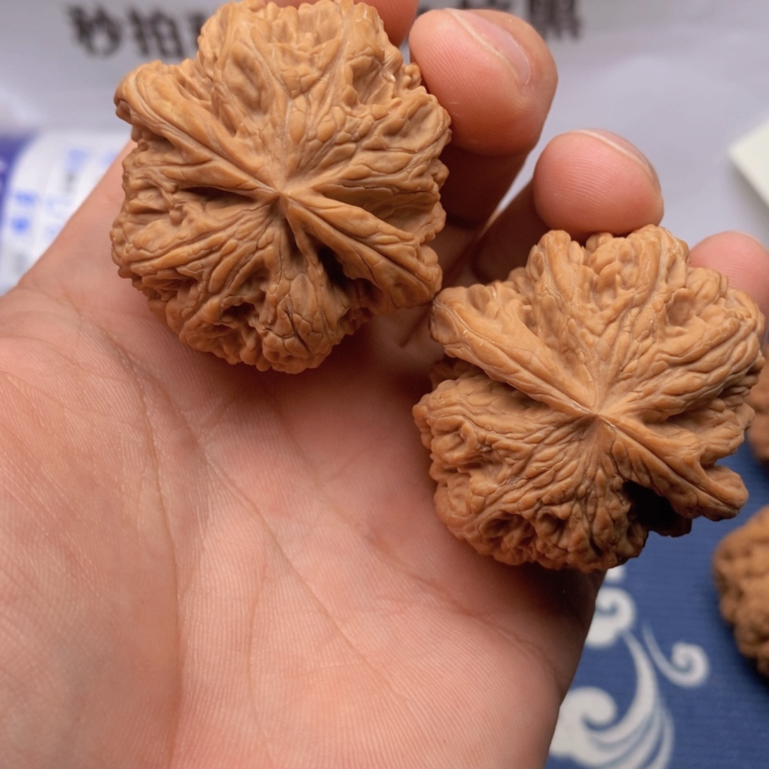 叫***了文玩核桃吊坠45尺粗筋13号