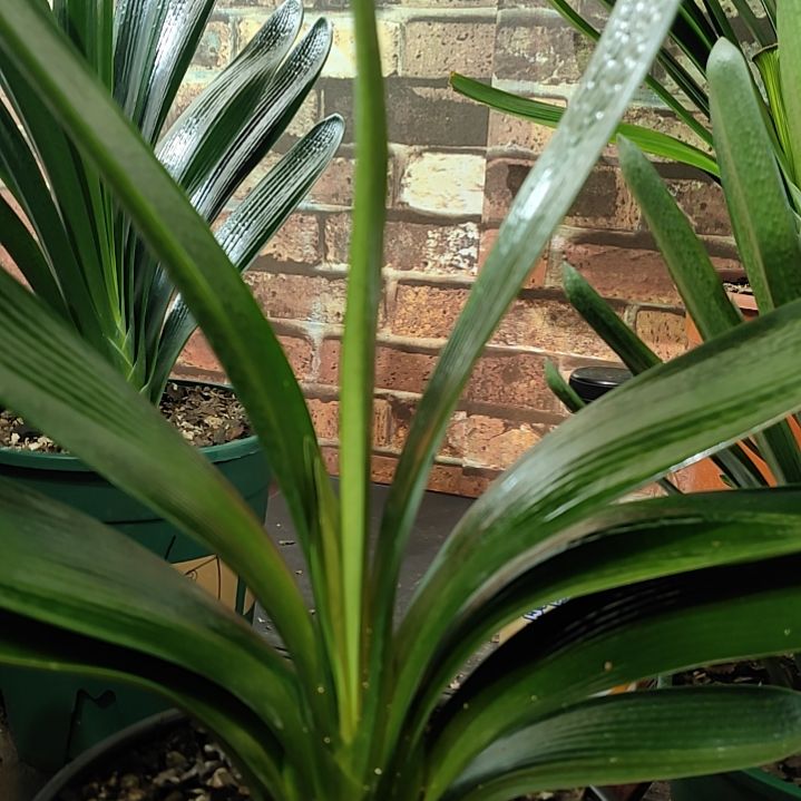 完全开放111111111111