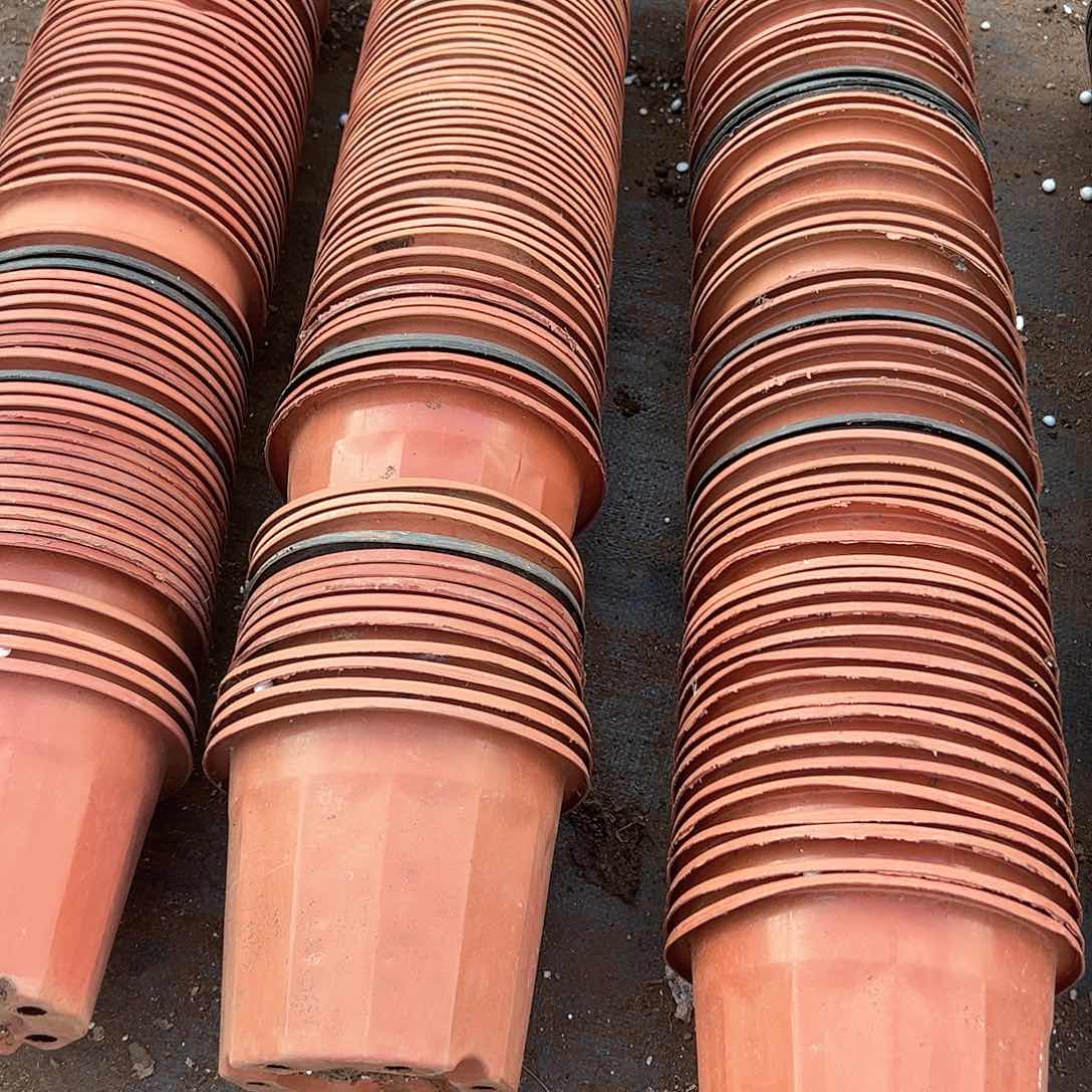 红黑砖盆15-16口径12.5-13高 30个