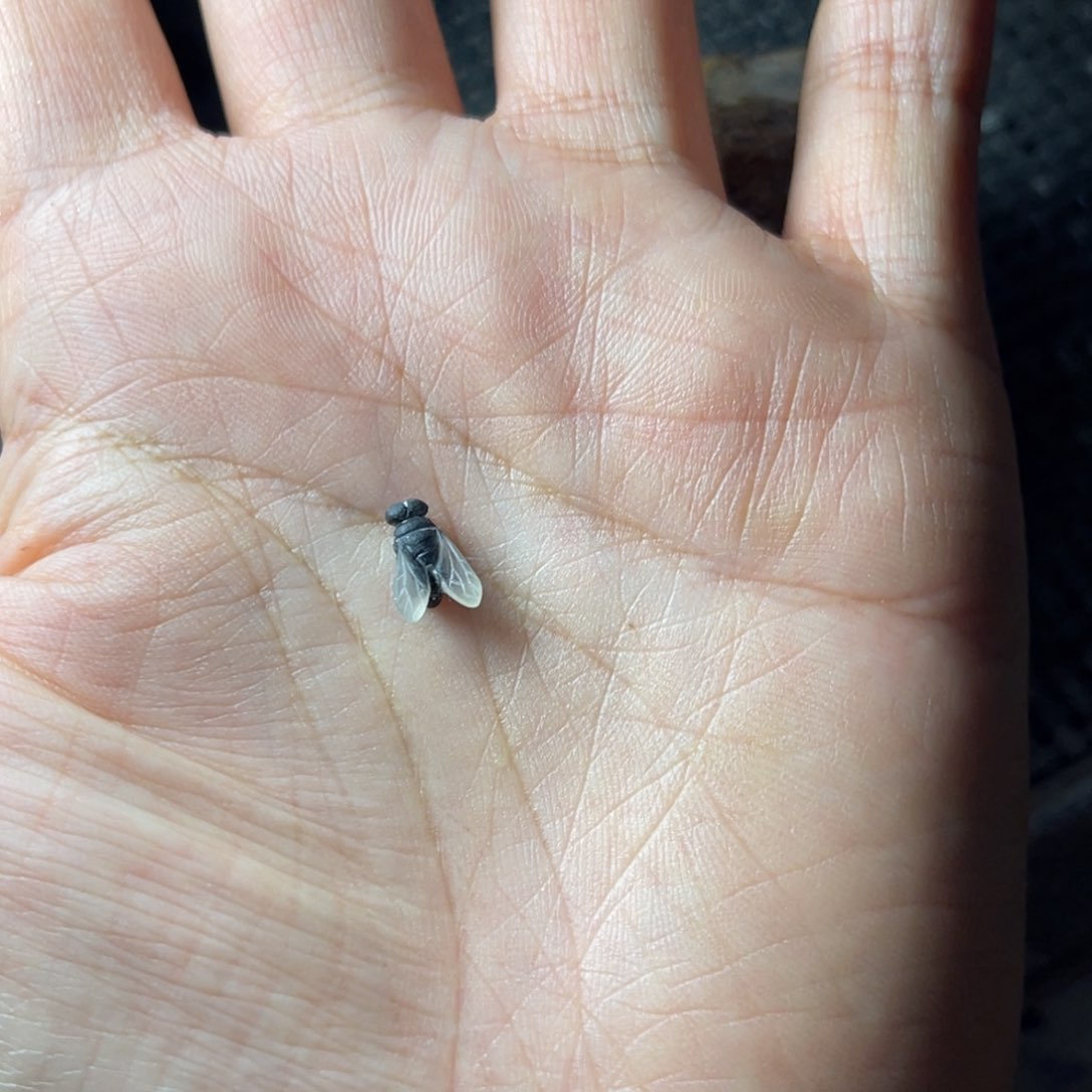 未镶嵌配饰玛瑙/玉髓胖*子