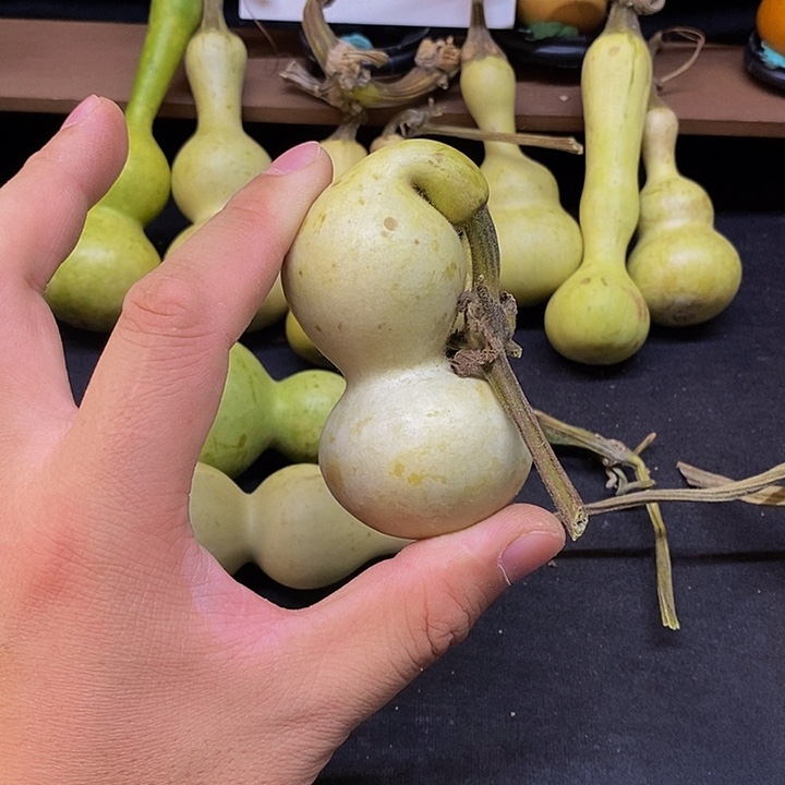 幸**活长嘴哈哈哈哈哈哈哈哈哈哈哈哈哈好