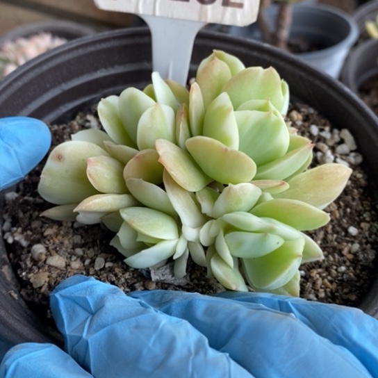 282一一一一一一一