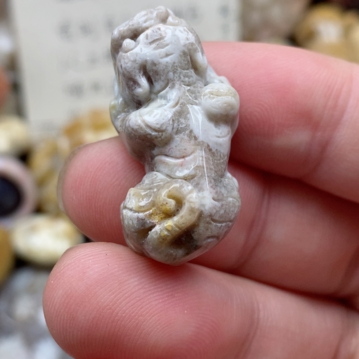 颈饰未镶嵌硅化珊瑚（珊瑚玉）小