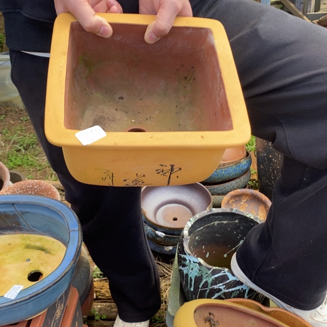 松***子70号多肉盆口径20