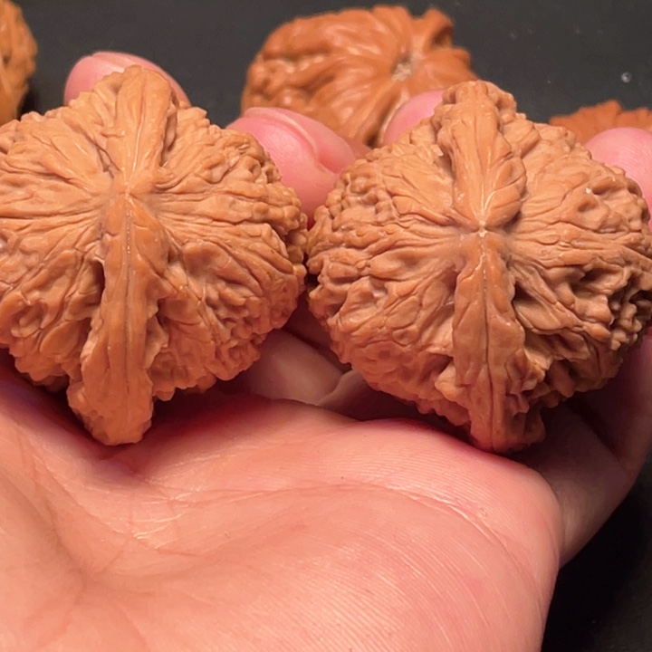 核桃一****的40尺寸南疆石