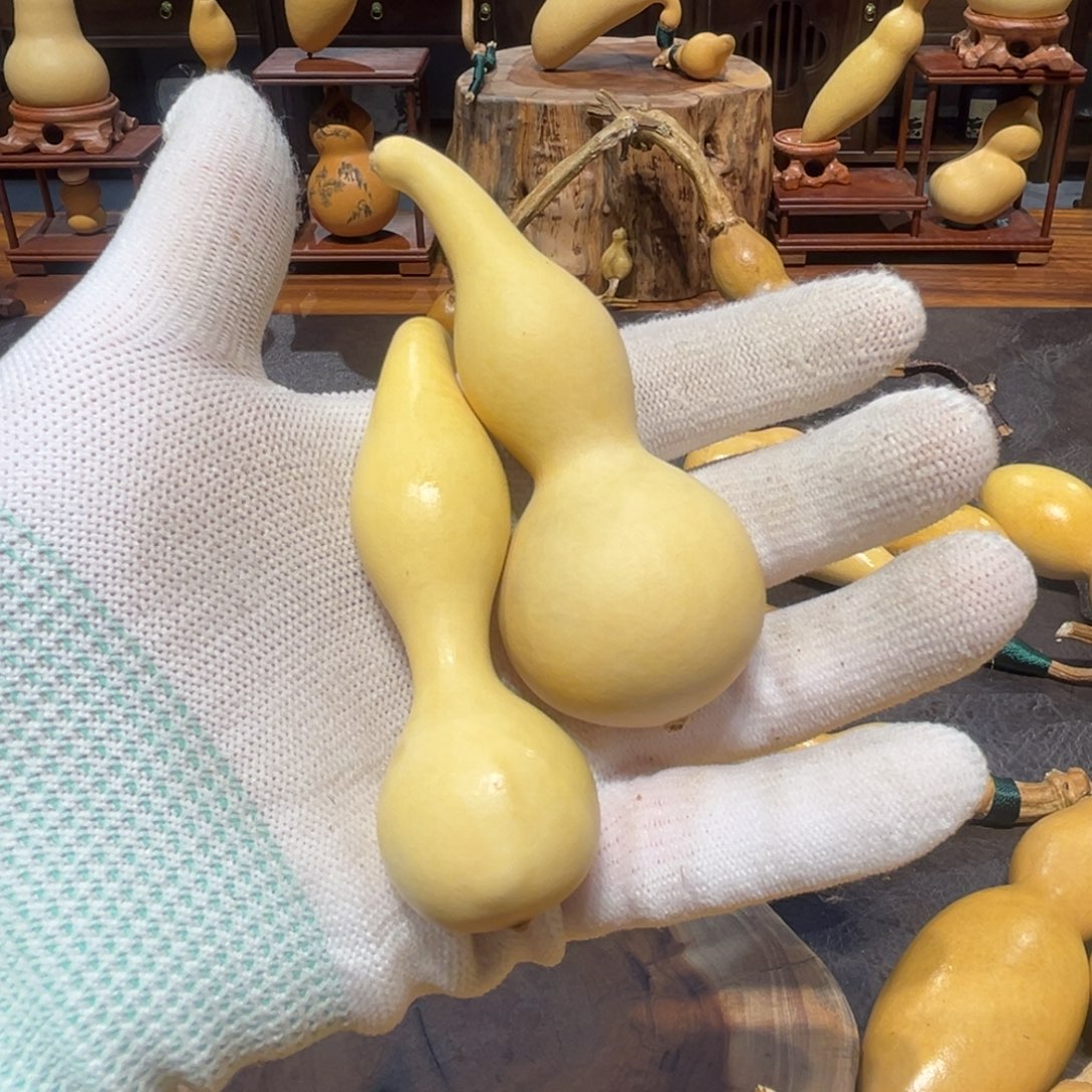 0***:重返校园的时候我就