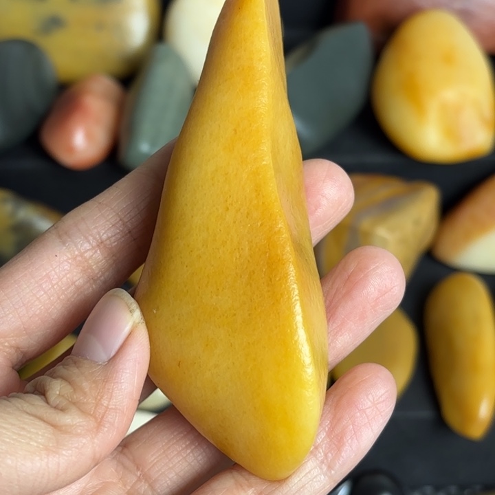 乌尔禾戈壁滩鸡油黄