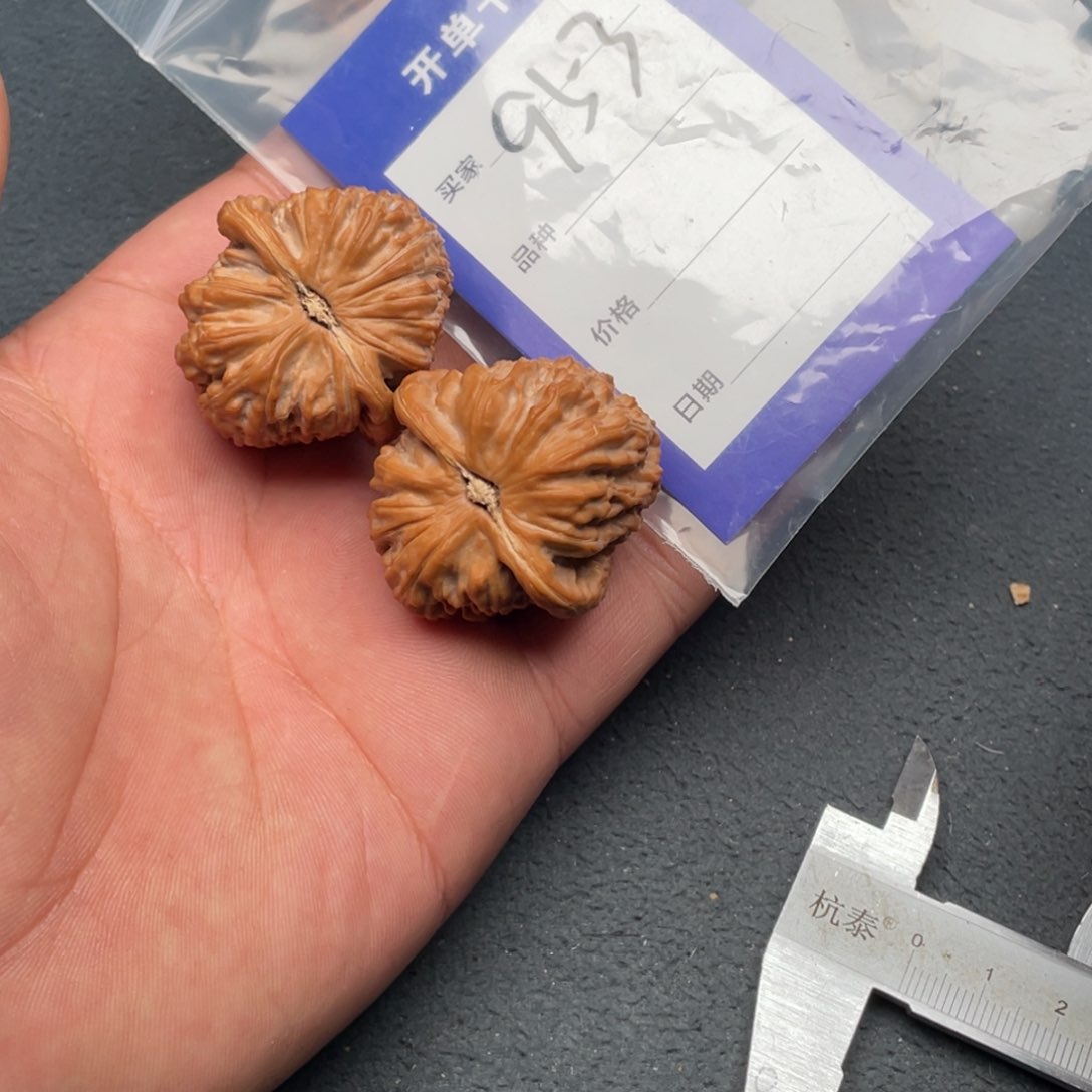 核桃把件37白狮子，953号