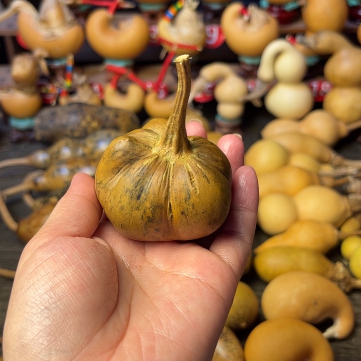 天***%花皮花头葫芦有筋的葫芦