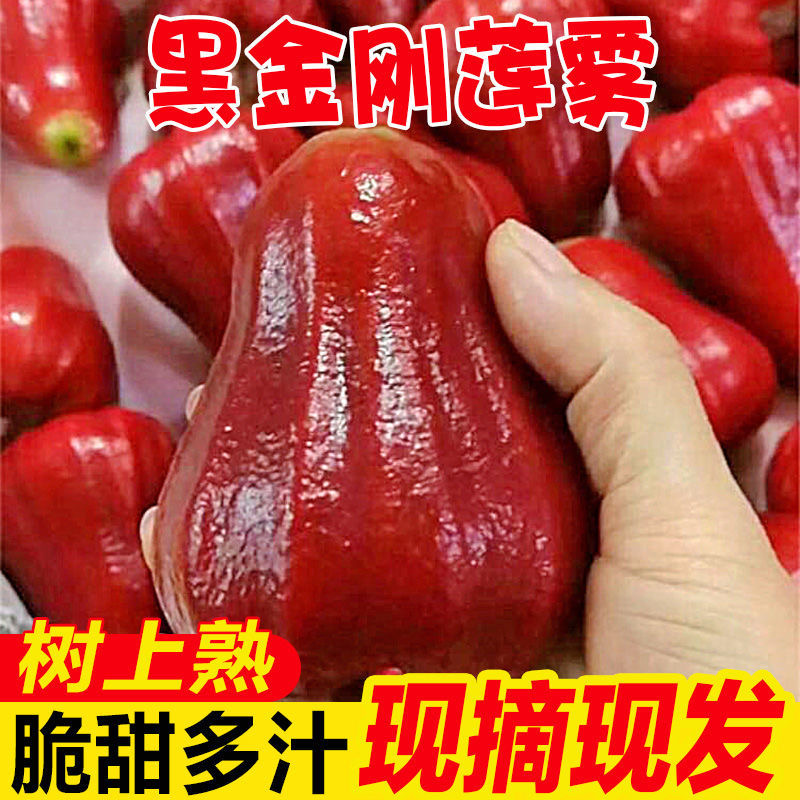 海南正宗三亚黑金刚莲雾清甜脆爽多汁新鲜应季仙女水果整箱雾莲果