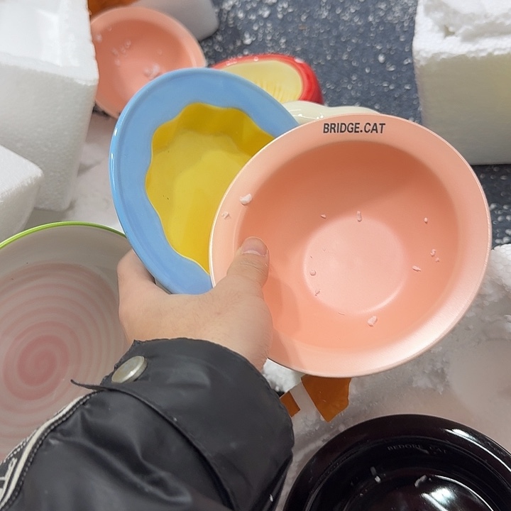 瓷片陶瓷微x链接在r1