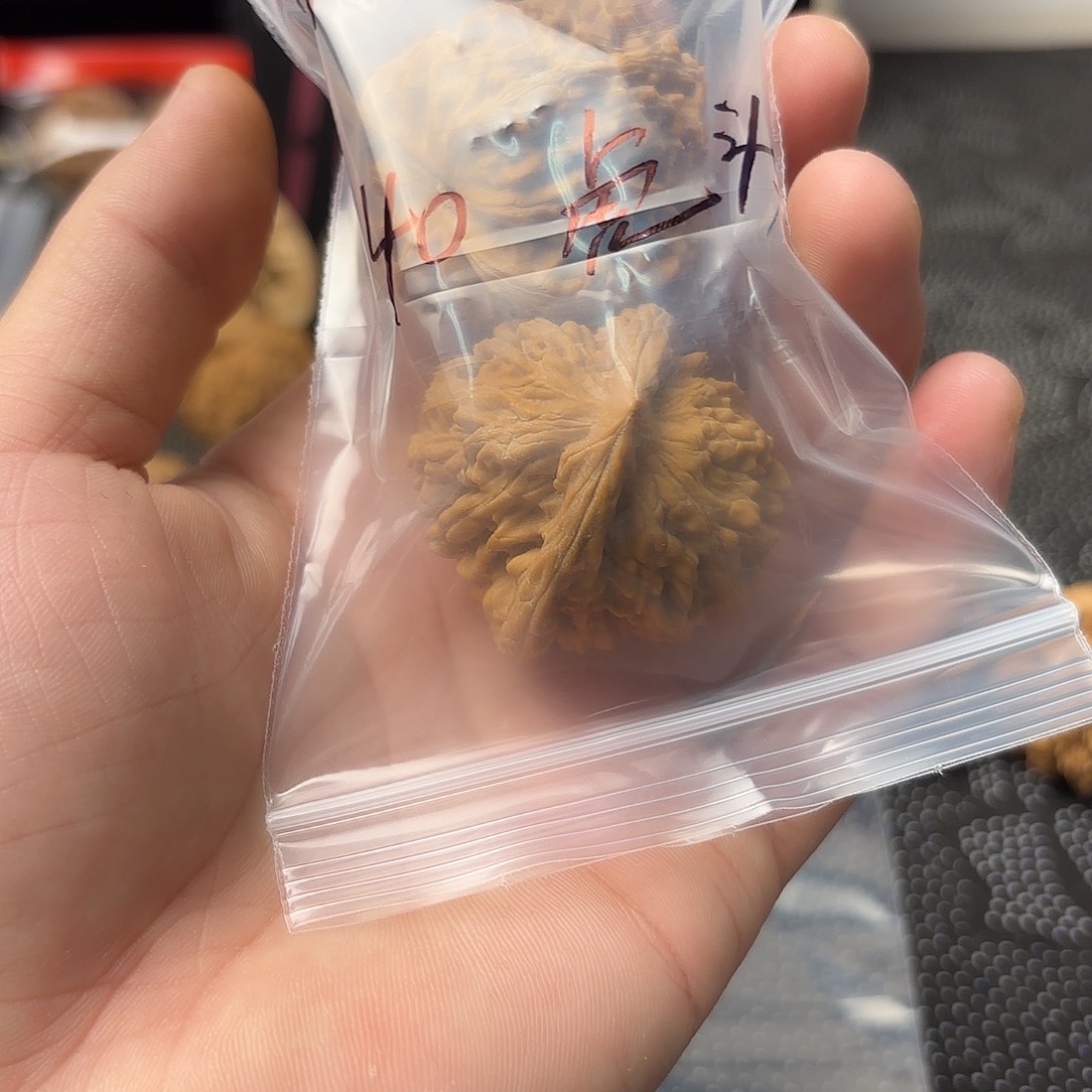 朱***鹮大叶紫檀（黑酸枝木类）