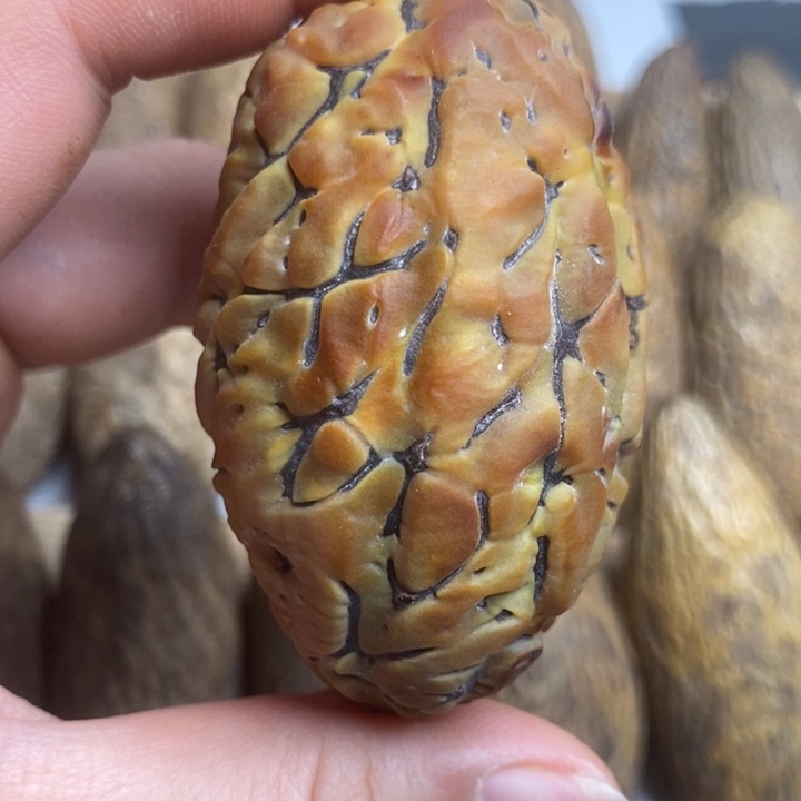 遥***风千眼菩提把件菩提