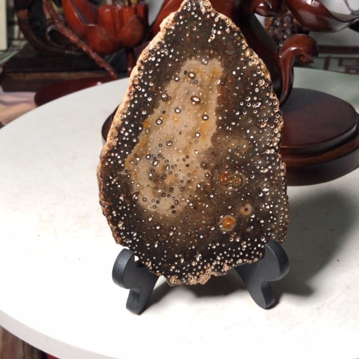 石材家居摆件硅化木椰子树树化玉