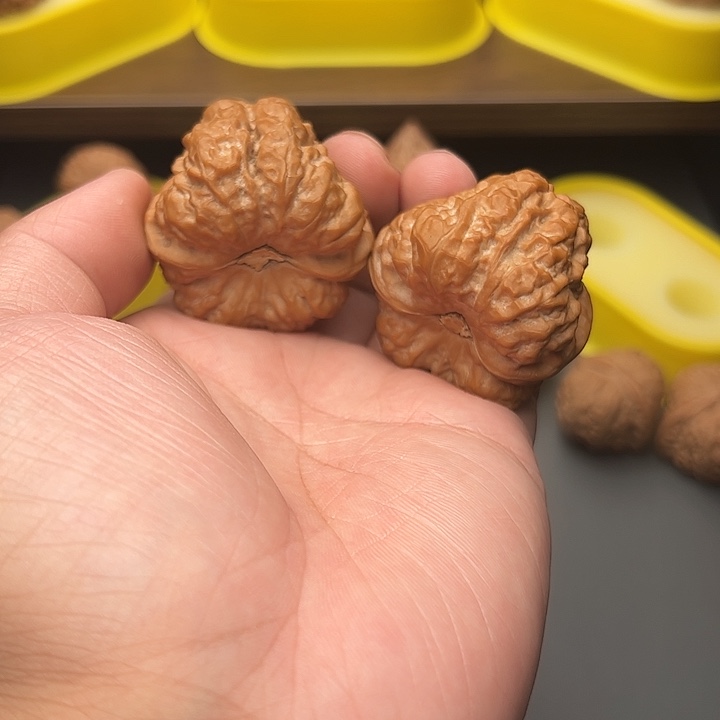 42尺精配头货三角蛙