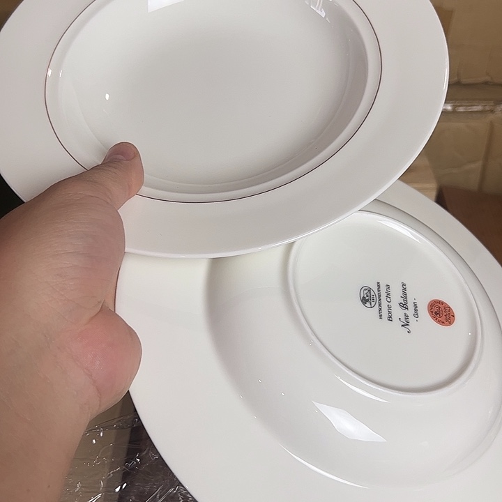 瓷片狮牌瓷器盘子全新