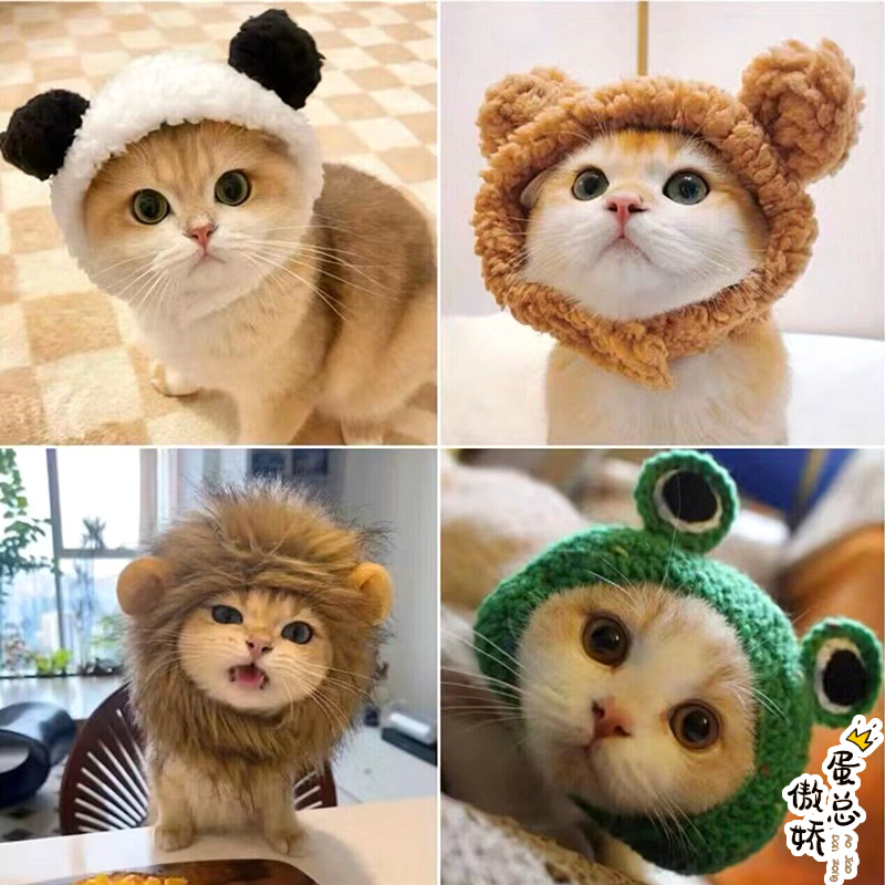 宠物帽子猫咪头套可爱小熊头饰兔兔耳朵狗狗小型犬搞怪变装帽拍照