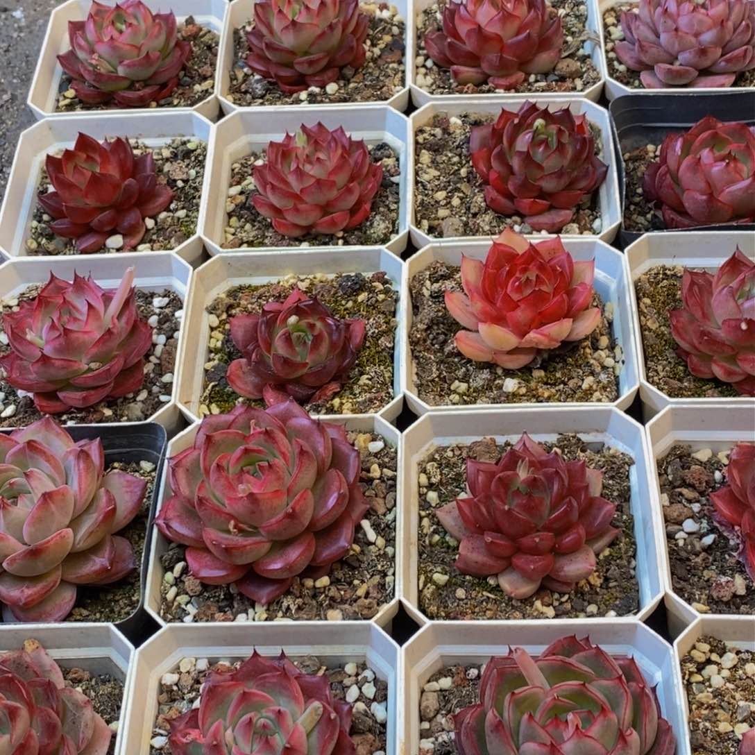 236的人在一起了。我