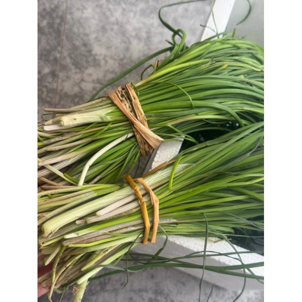 野葱 条葱遍波波 专属链接 永新发货