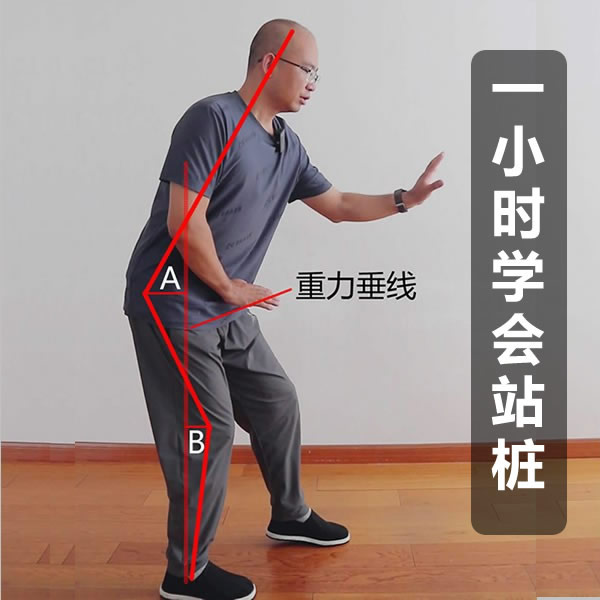 科学站桩线上视频课
