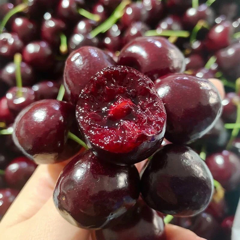 都乐拉宾斯车厘子单3J（1斤装）