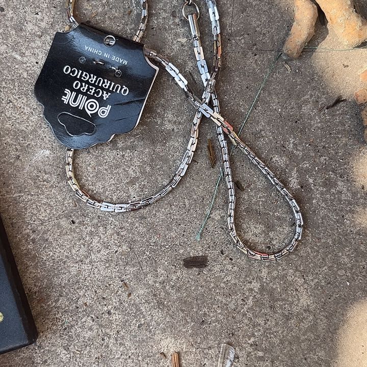 核桃木/黑胡桃（胡桃木）鸟**香