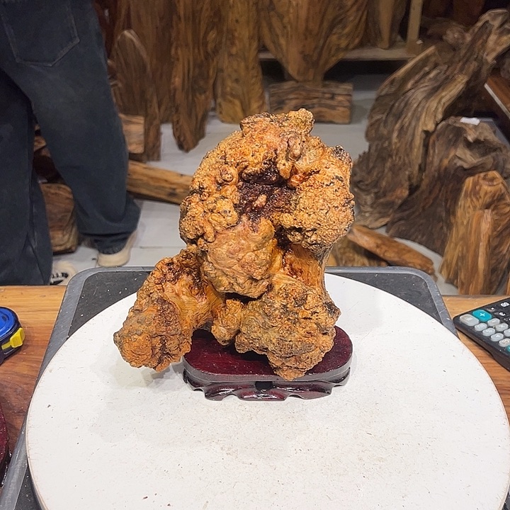 松木（琥珀木）慧****刻