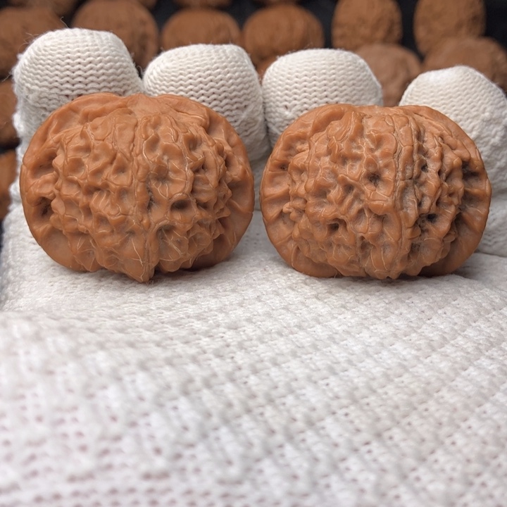 文玩核桃把件核王40