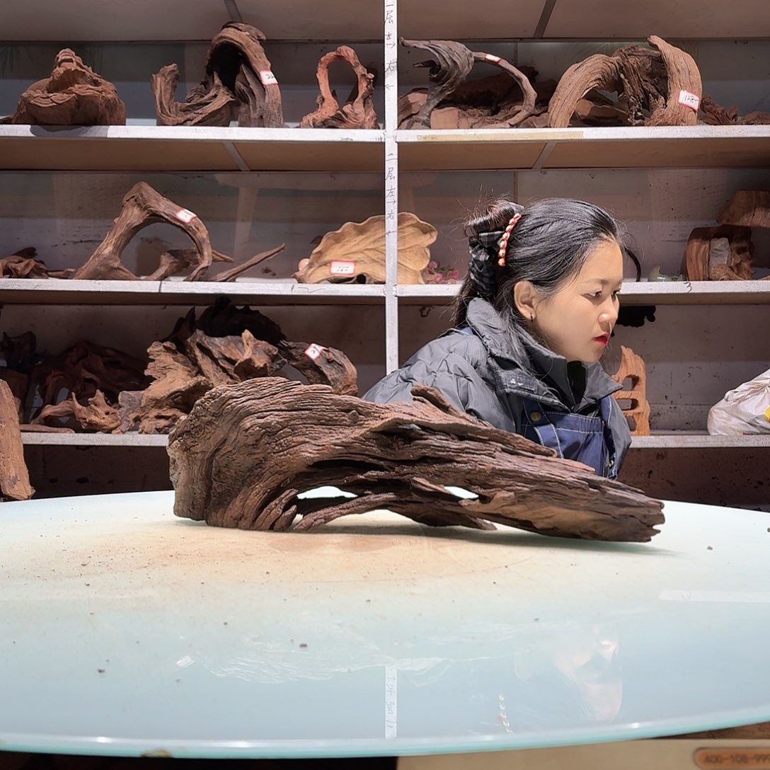 倍诸沉木不包去必褪色秋**瑜7037