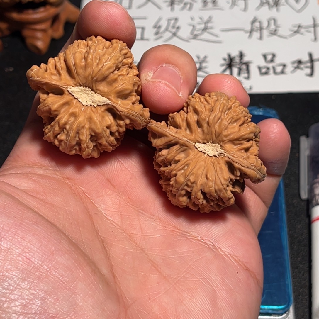 40石膏凹底密纹狮子头轻微水尖