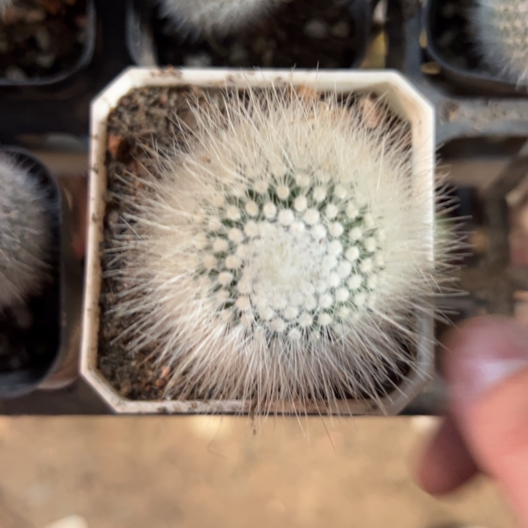 花***袁哈哈哈哈哈哈哈哈哈哈哈