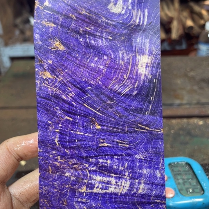 用***888888888885955588