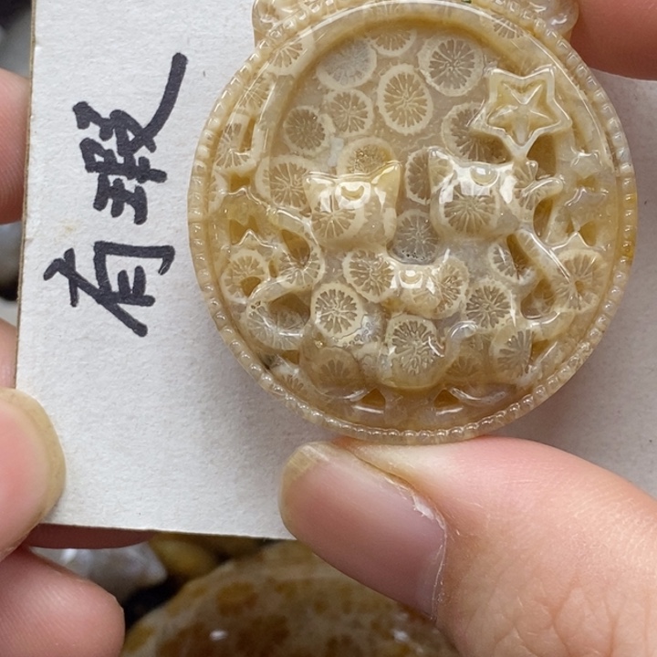 硅化珊瑚（珊瑚玉）未镶嵌颈饰