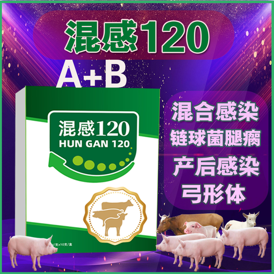 混感120 猪高热混感 链球菌弓形体混合感染 咳喘不吃饲料使用 