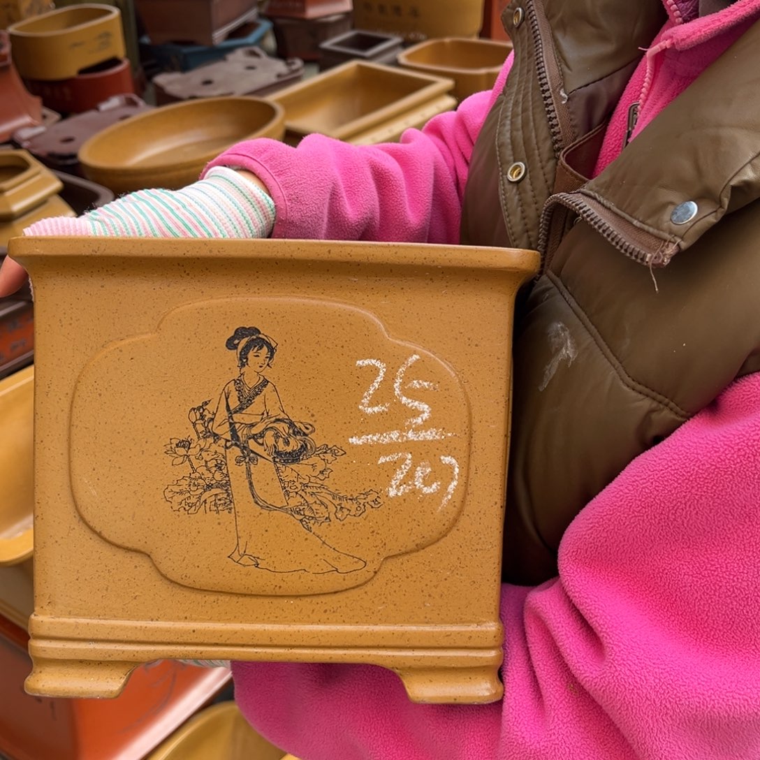 花盆紫砂盆景艺术