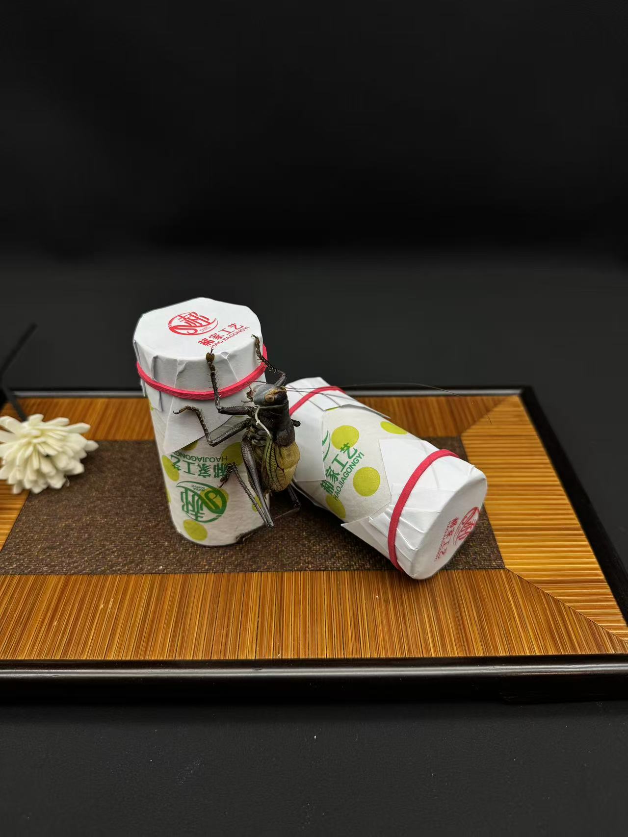 郝建伟铁皮大残疾燕山北麓铁皮蝈蝈