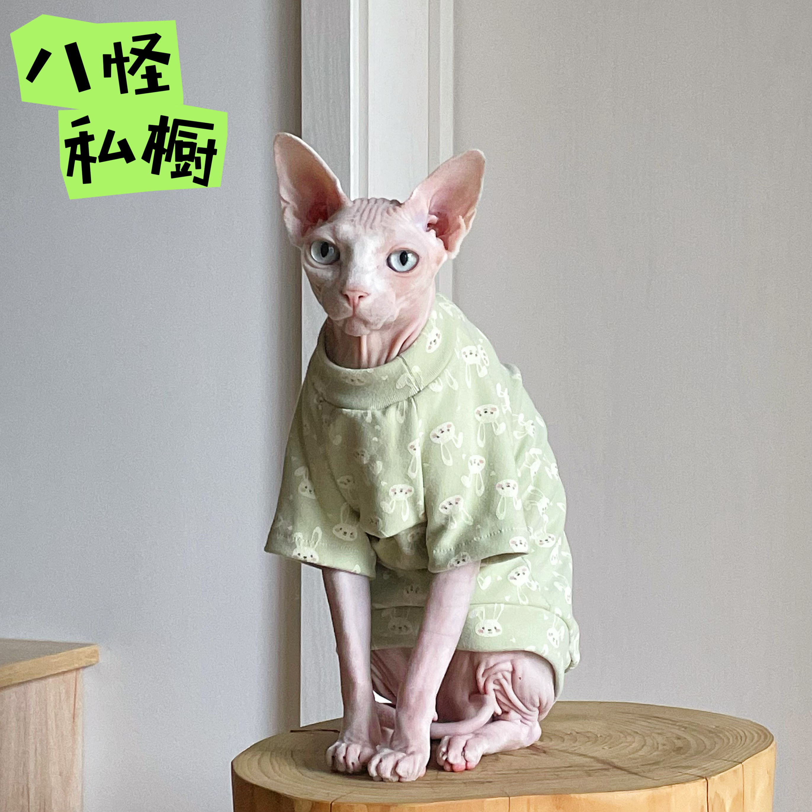 手工制作无毛猫德文猫秋季德绒纯棉亲肤弹力透气绿色小兔子短袖