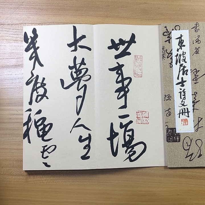 书法中书协会员作品