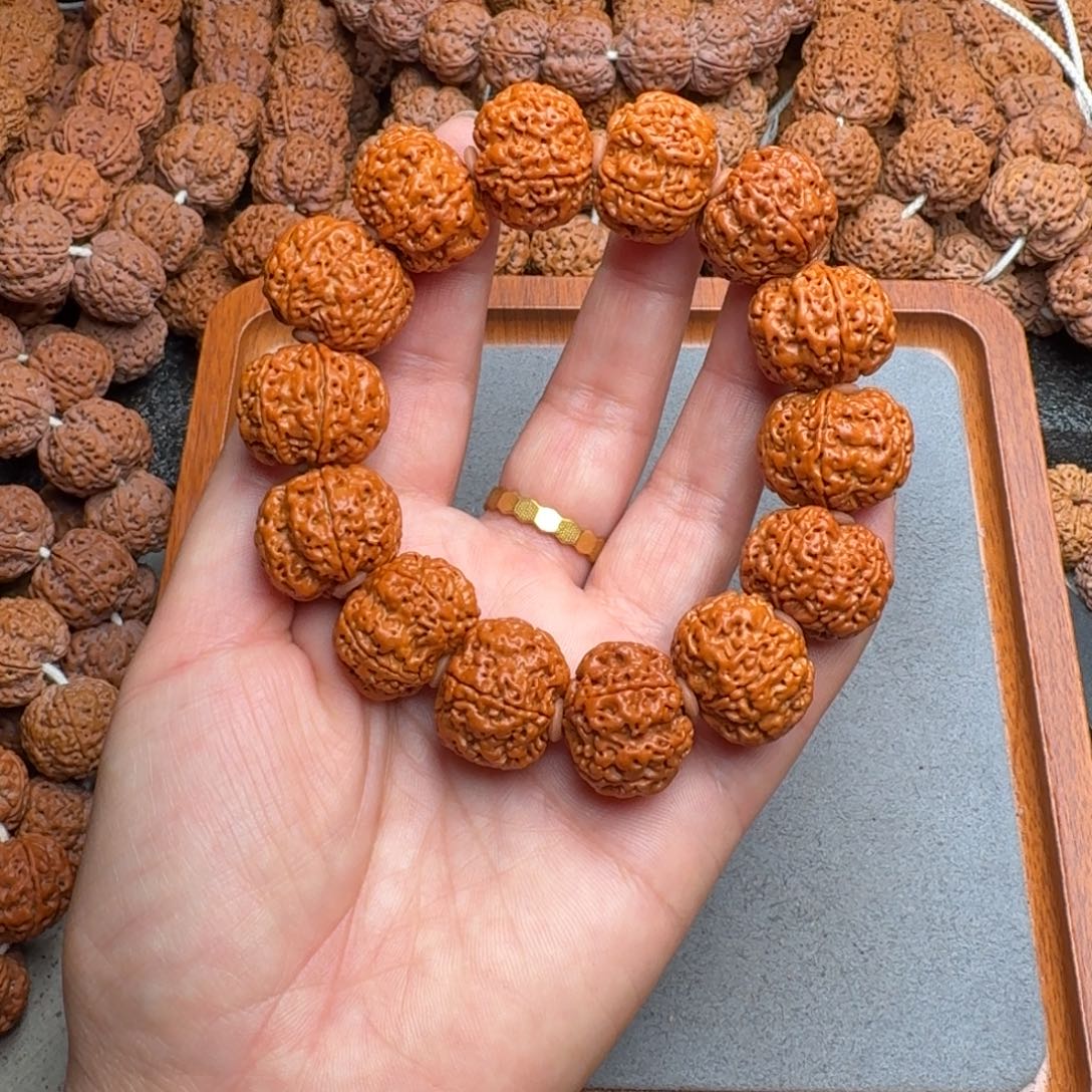 菩提菩提7号尼泊尔大金刚23蜂窝梅花