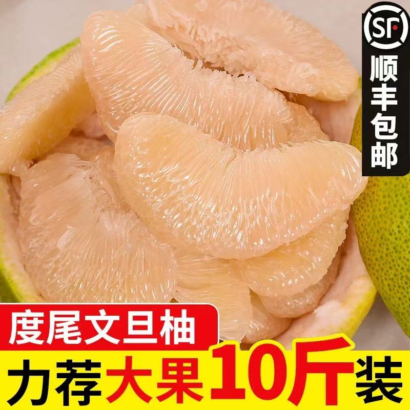 度尾文旦柚红心蜜柚福建仙游柚子新鲜应季孕妇水果酸甜多汁【顺丰】