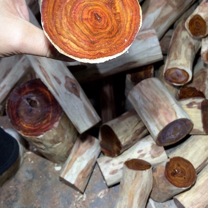 春***晓花梨木类海南黄花梨