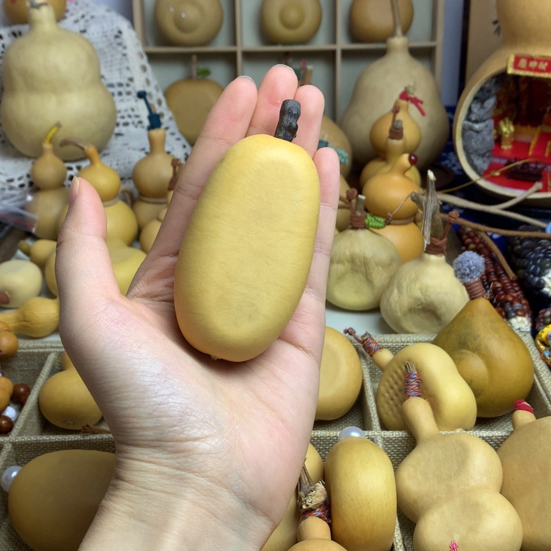 葫芦6号冬瓜扁扁