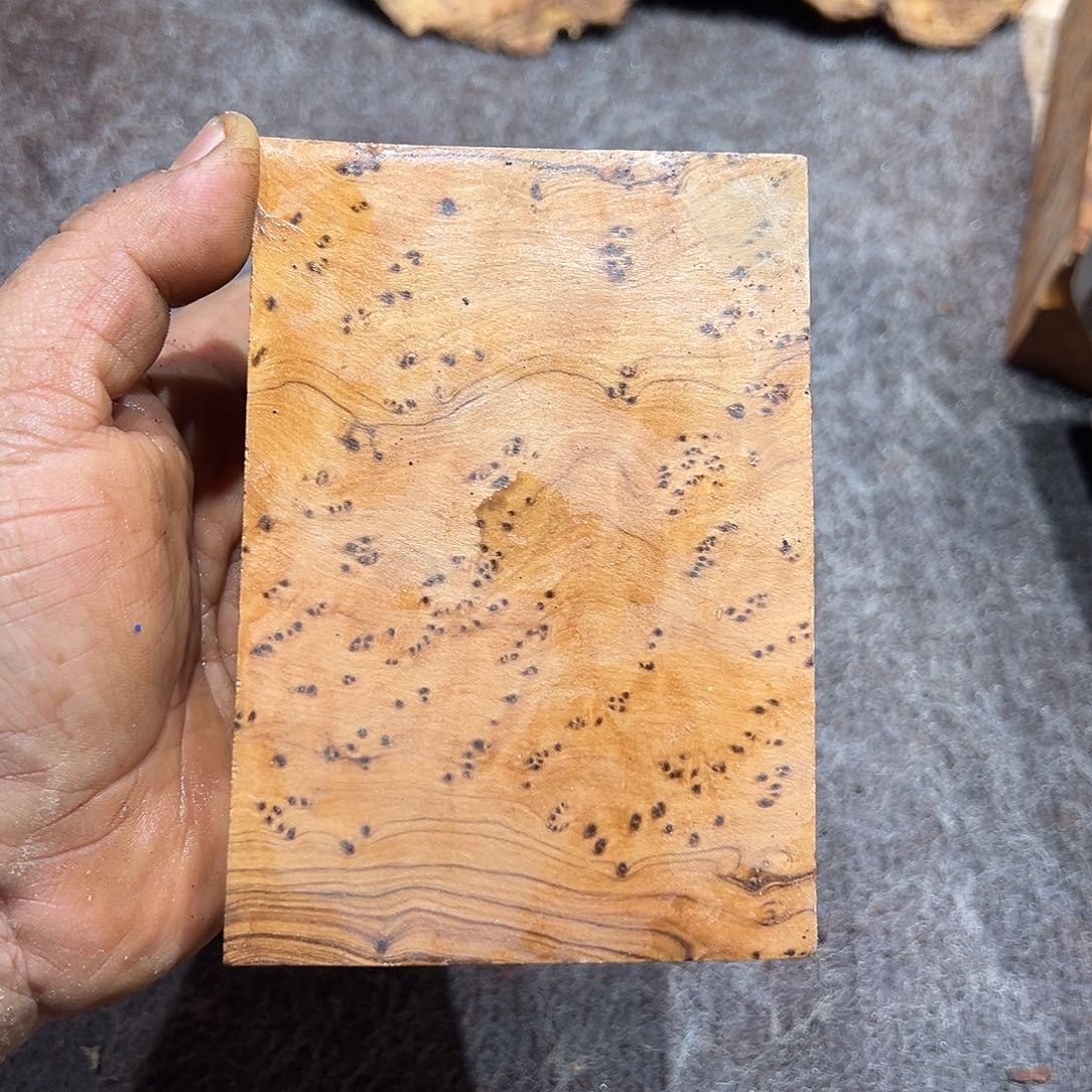 非洲檀香其他小*