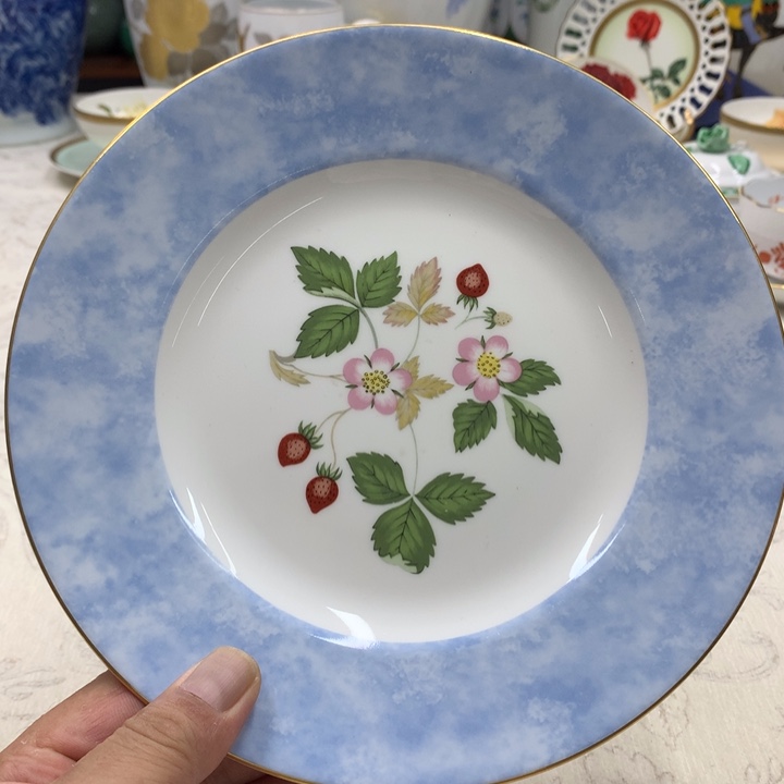 瓷片哈哈哈哈哈哈