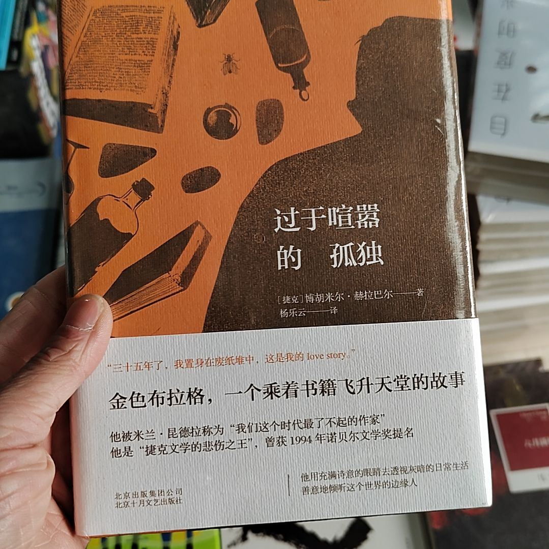 过于喧嚣的孤独   