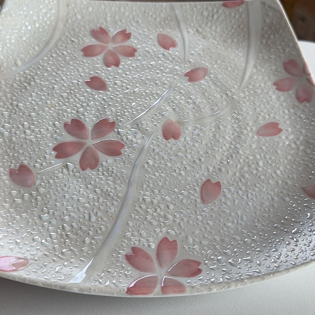 搪瓷1只22.5厘米珠光釉方盘