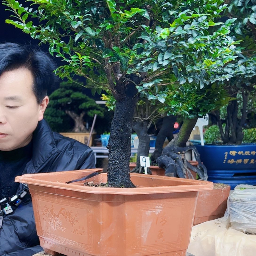 以实际为准新****心12345678