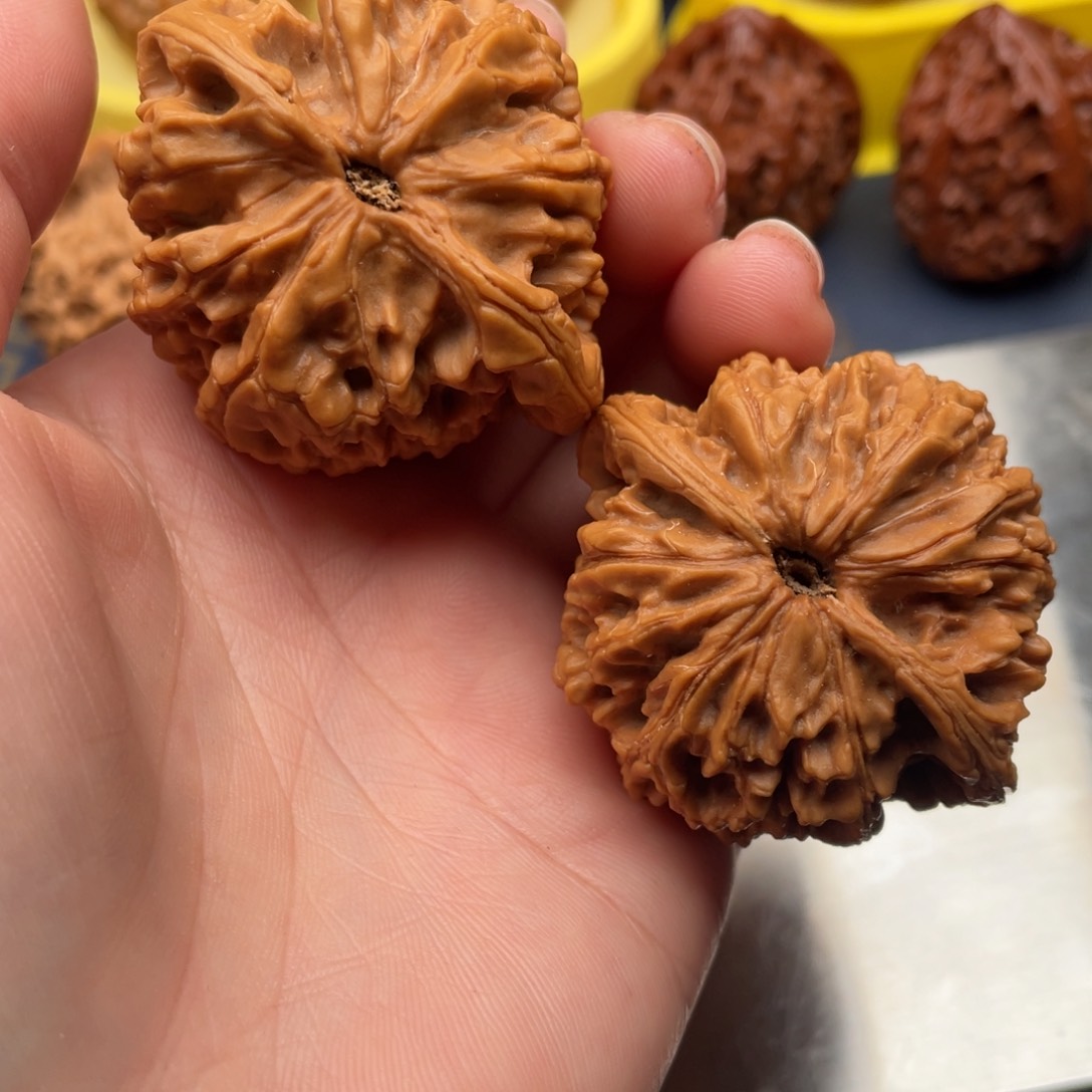 文玩核桃把件十**、虎头王45