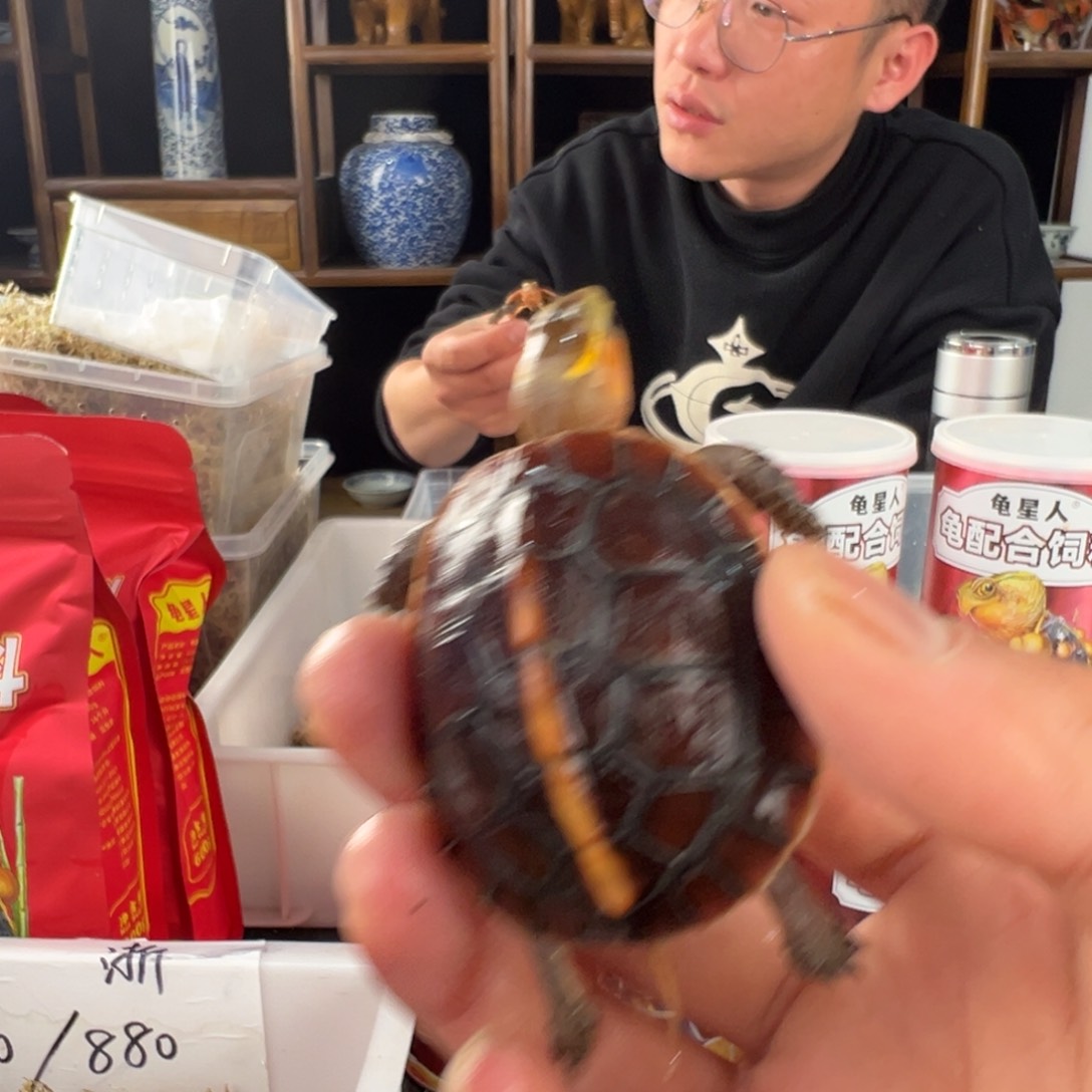 母梦**她新年快乐哦嘛啦